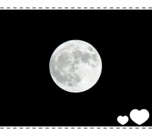知人が撮った満月✨ 美しく輝くお月様🌝