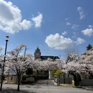 古い建物と桜の古木