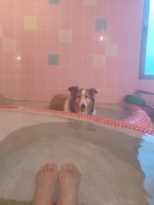 女子の入浴シーン！！！ (笑´∀｀) こちらは貸し切り家族風呂。犬と混浴出来ます♨（浴槽は分かれています）